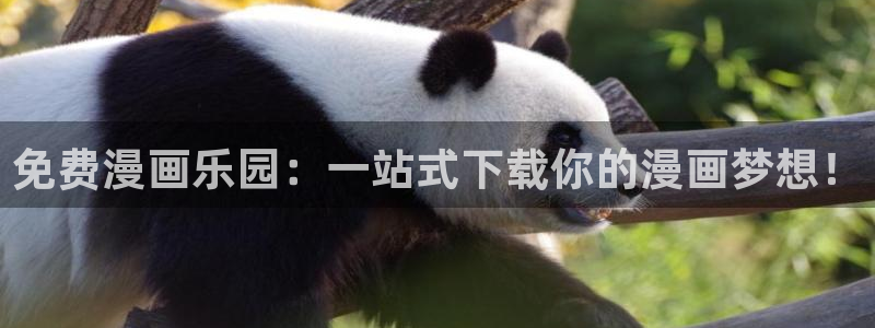 韩漫漫画协议换爱：免费漫画乐园：一站式下载你的漫画梦想！