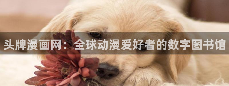 3d漫画韩漫免费入口：头牌漫画网：全球动漫爱好者的数字图书馆