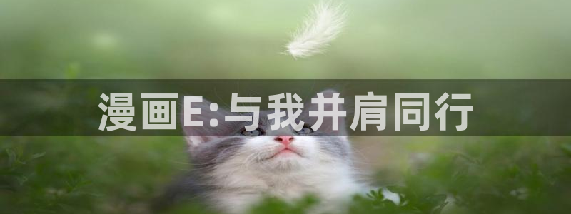 好看的漫画双男主韩漫：漫画E:与我并肩同行